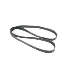 Serpentine Belt