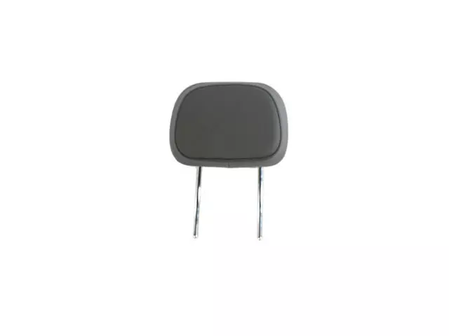 Rear Headrest, Inner