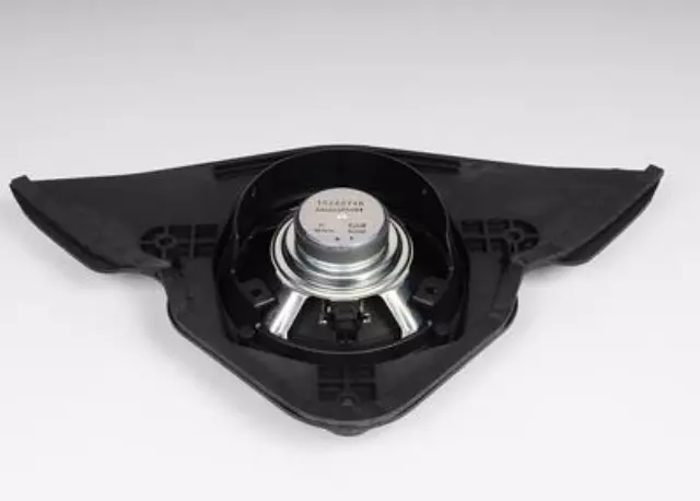 Rear Side Door Radio Speaker