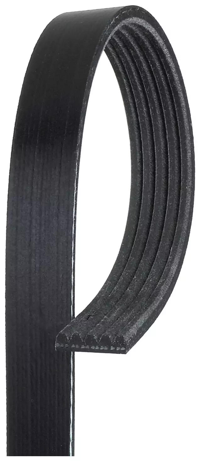 Standard V-Ribbed Serpentine Belt