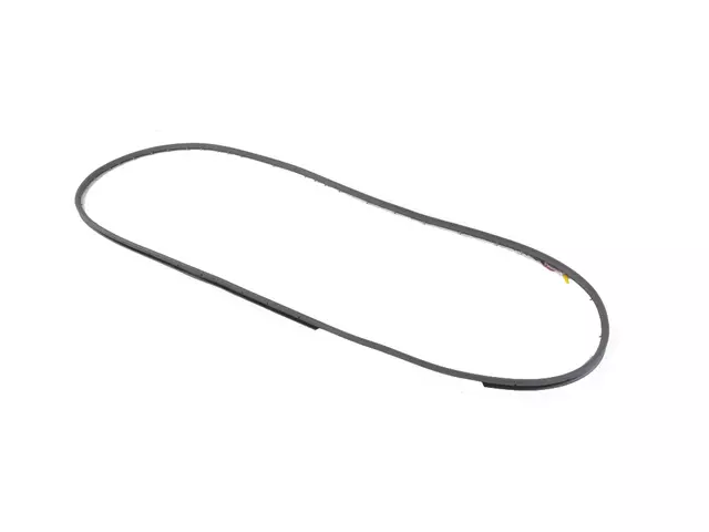 Rear Door Mounted Weatherstrip, Left
