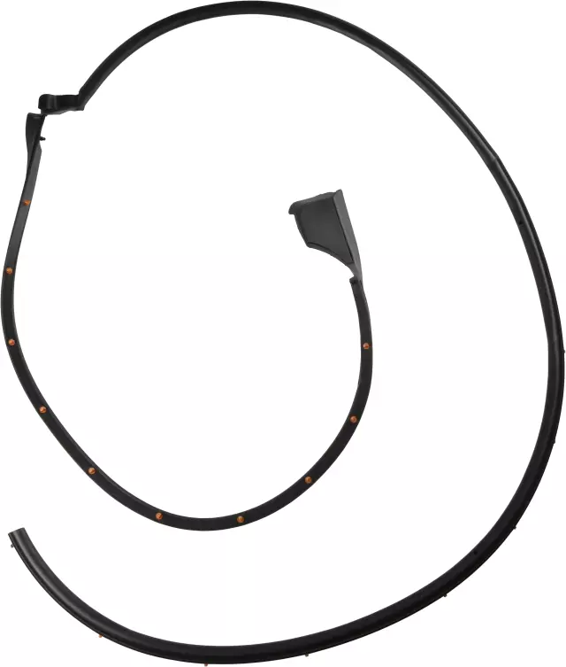 Surround Weather-Strip