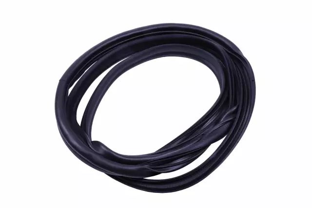 Front Driver Side Door Weatherstrip