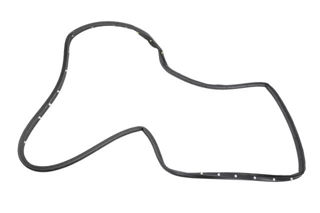 Rear Driver Side Door Weatherstrip