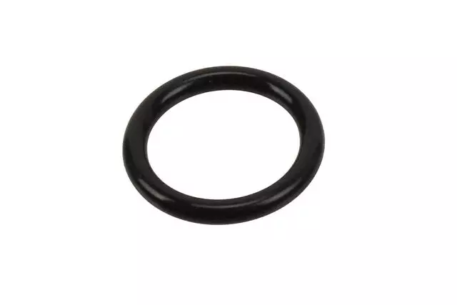 Engine Oil Cooler Gasket