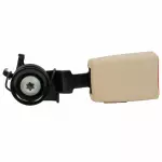 Outer Seat Belt Buckle Assembly