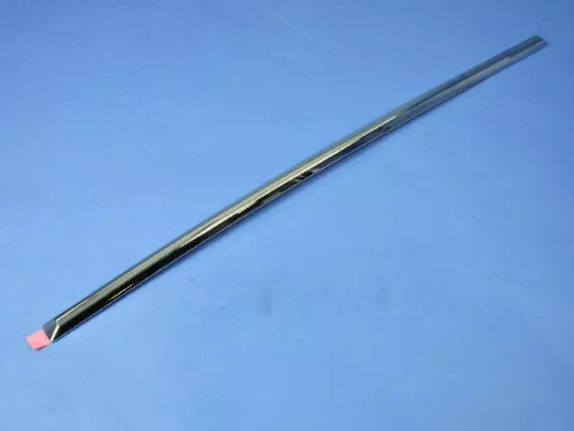 Rear Door Molding, Right & Left