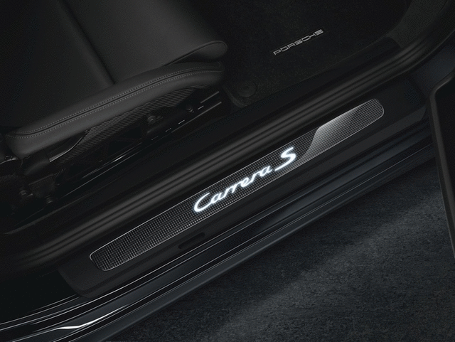 Door Entry Guards In Carbon - Illuminated