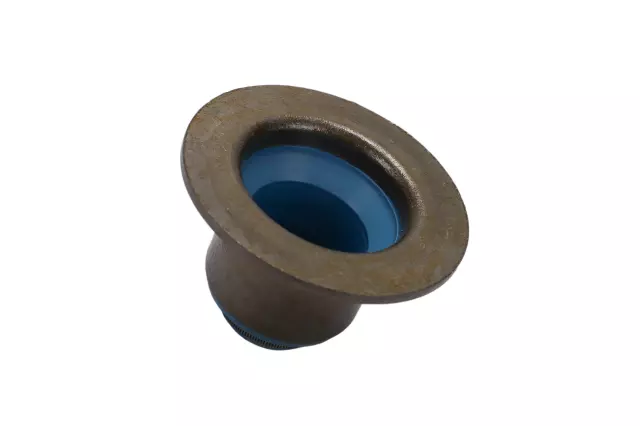 Valve Seals