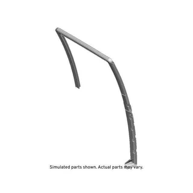 Rear Passenger Side Door Window Weatherstrip