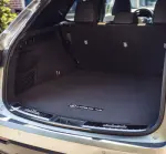 Carpet Cargo Mat - Left.Gray - F-Sport Logo