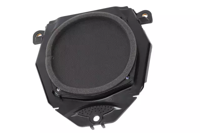 Rear Driver Side Door Radio Speaker