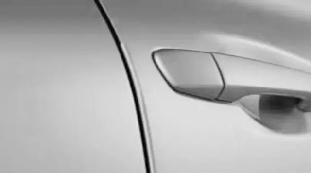 2011-2014 Lexus GX460 - Door Edge Guards, Tungsten Pearl