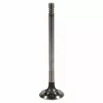Exhaust Valve