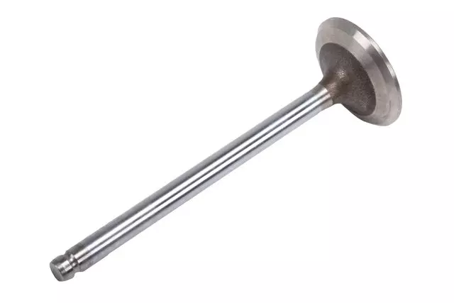 Exhaust Valve
