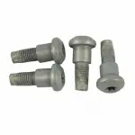 Seat Belt Lap And Shoulder Belt Bolt