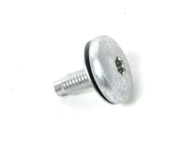 Headlamp Assembly Screw