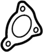 Converter & Pipe Gasket
