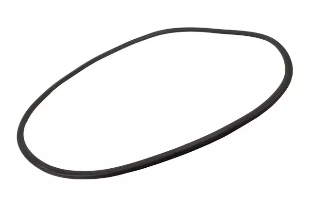 Weather-Strip On Body