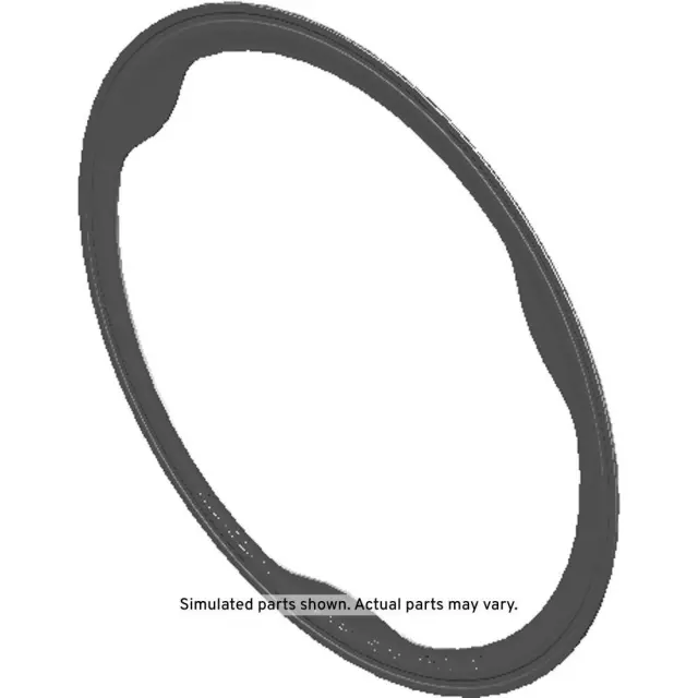 Catalytic Converter Seal