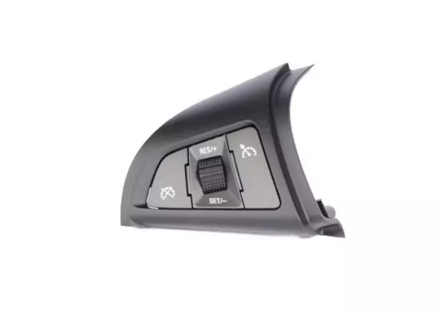 Jet Black and Dark Argent Cruise Control Switch