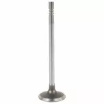 Exhaust Valve