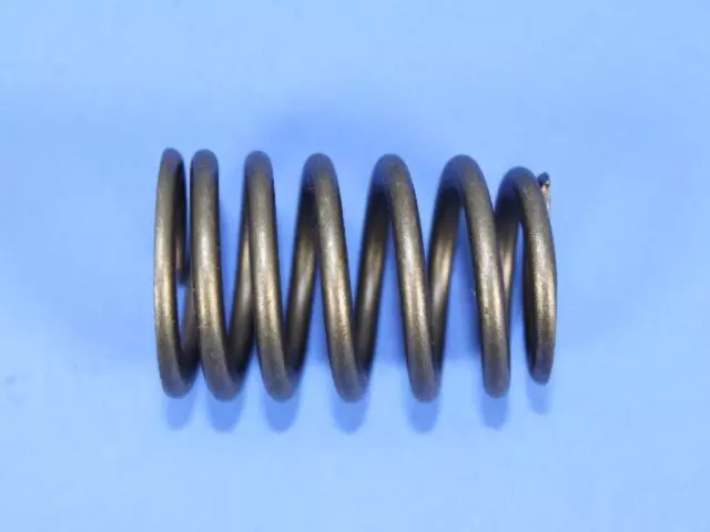 Valve Springs