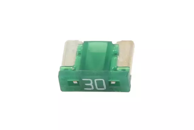 30 AMP Fuse