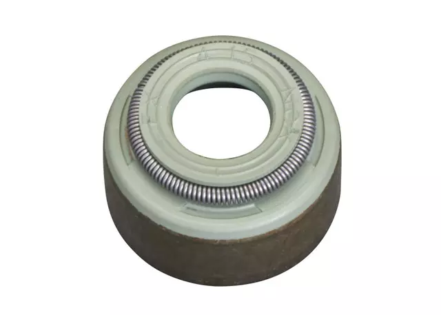 Valve Seals