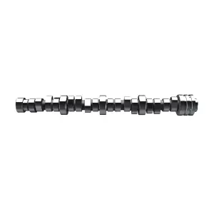 Engine Camshaft