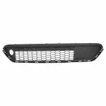 Bumper Grille