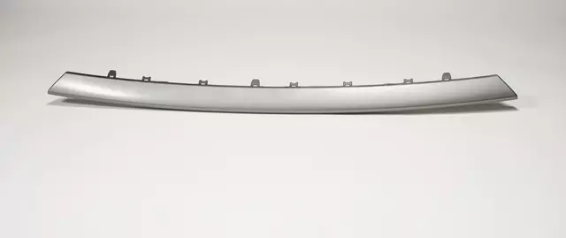 Grille Molding (Lower)