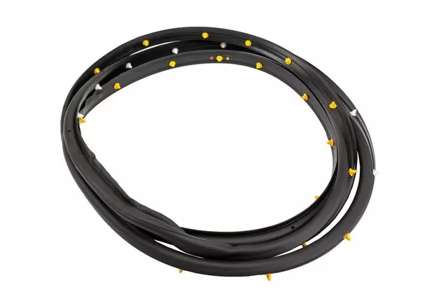 Driver Side Door Weatherstrip