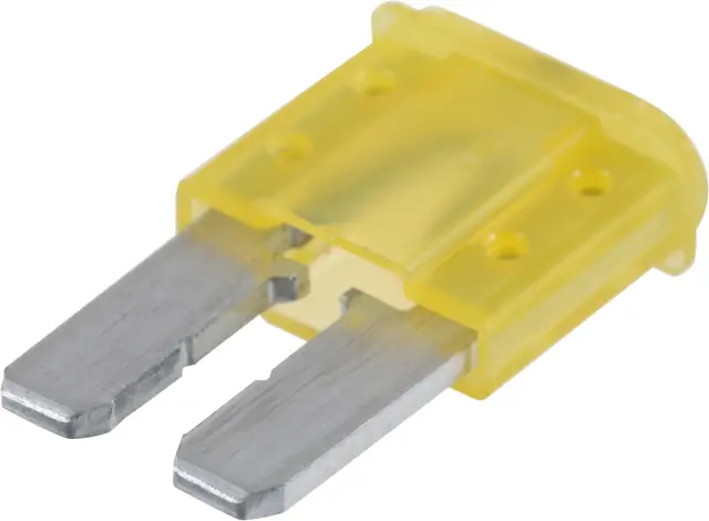 2023-2025 INFINITI QX55 Multi-Purpose Fuse 243197993A | OEM Parts