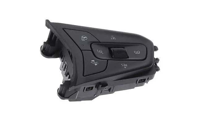 Jet Black Cruise Control Switch