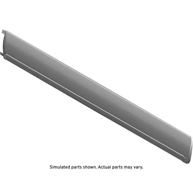 Driver Side Rear Door Molding