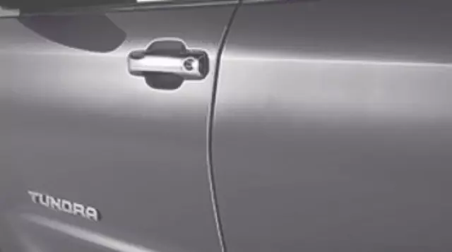 Door Edge Guard, Lunar Rock