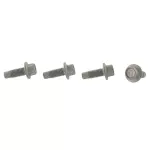 Hinge Mount Bolt