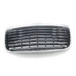 Radiator Grille
