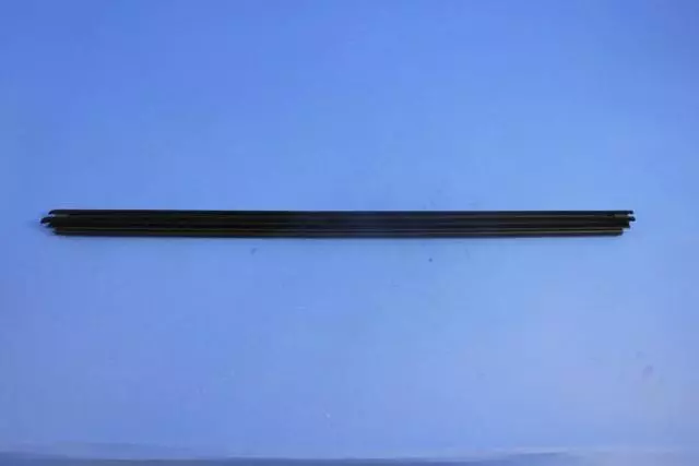 Door Belt Inner Weatherstrip, Left