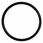 Thermostat O-Ring