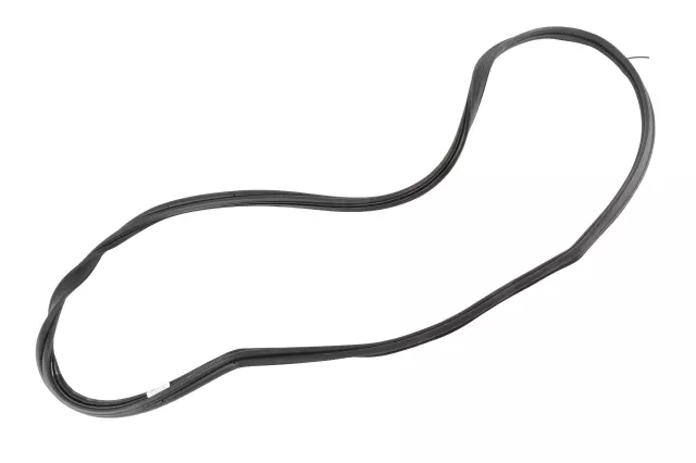 Weather-Strip On Body