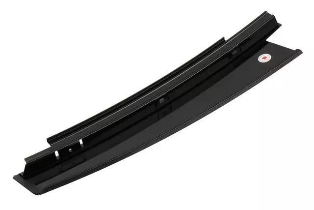 Rear Passenger Side Door Window Frame Front Applique