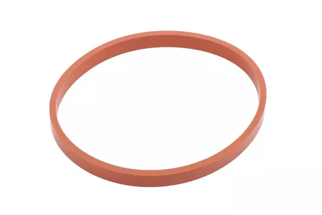 Fuel Injection Throttle Body Seal