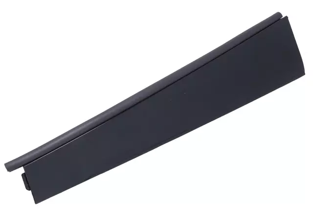 Passenger Side Rear Door Window Frame Front Applique