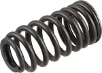Valve Springs