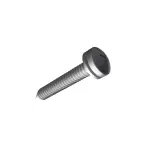 Tapping Pan Head Screw