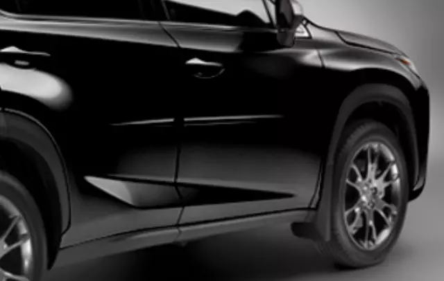 Body Side Moldings - Fire Agate Pearl