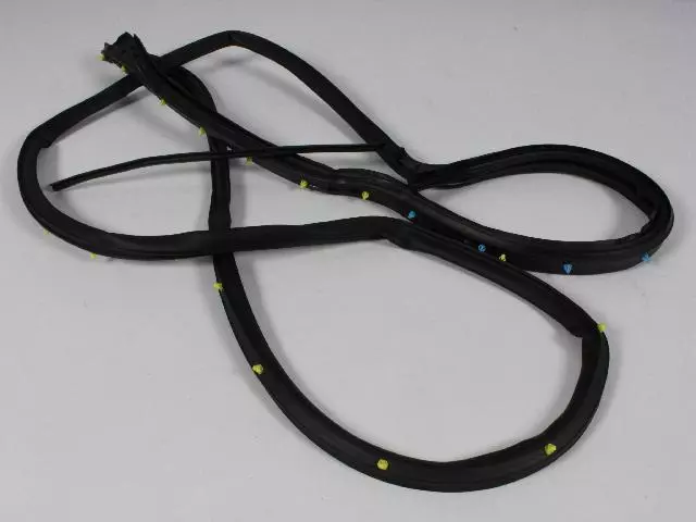 2011-2025 Dodge Durango Rear Door Opening Weatherstrip