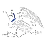 2023-2024 Ford - Hinge